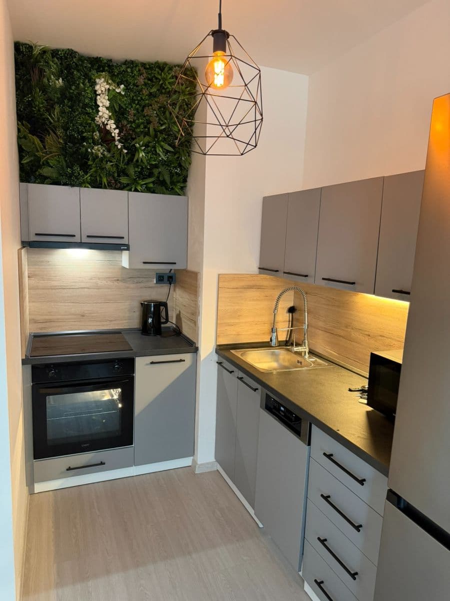 Prenájom bytu 2-izbový 42 m², Thomasova, Praha, Praha Prenájom bytu 2-izbový 42 m², Thomasova, Praha, Praha
