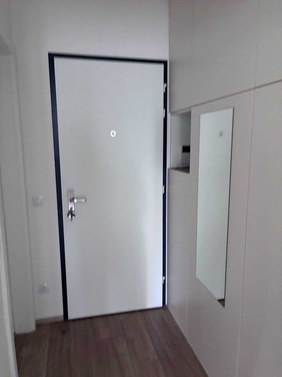 Prenájom bytu 1-izbový 40 m², Hartigova, Praha, Praha Prenájom bytu 1-izbový 40 m², Hartigova, Praha, Praha
