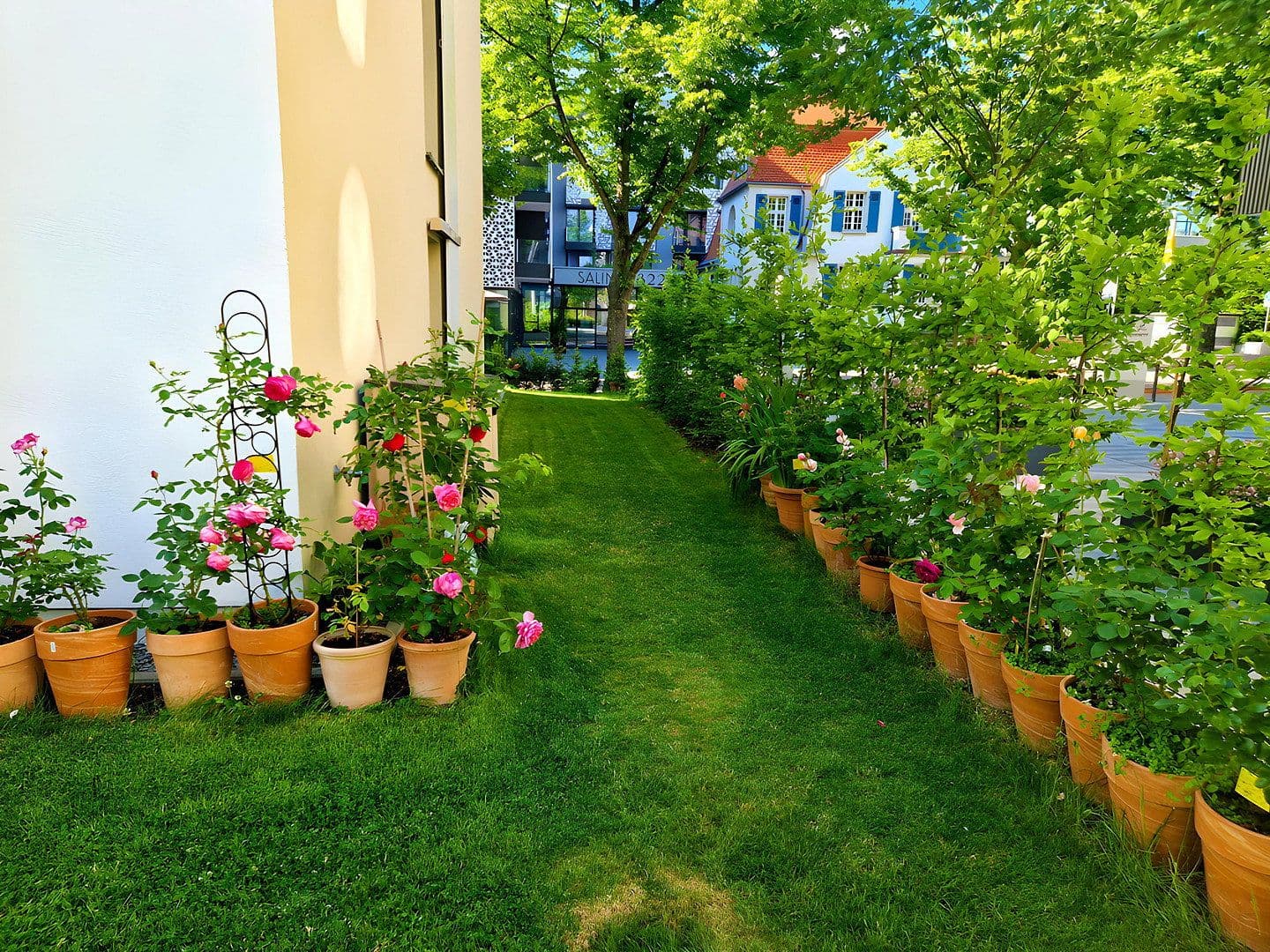 Prenájom bytu 4-izbový 123 m², Salinenstraße 14, Bad Rappenau, Bádensko-Wurttembersko Prenájom bytu 4-izbový 123 m², Salinenstraße 14, Bad Rappenau, Bádensko-Wurttembersko
