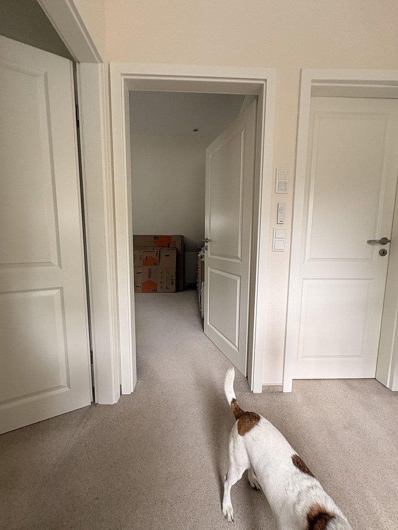 Prenájom domu 120 m², pozemek 845 m², Müssenweg 43a, Dassendorf, Šlezvicko-Holštajnsko Prenájom domu 120 m², pozemek 845 m², Müssenweg 43a, Dassendorf, Šlezvicko-Holštajnsko