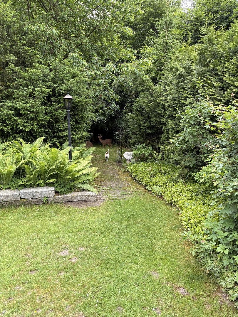 Prenájom domu 120 m², pozemek 845 m², Müssenweg 43a, Dassendorf, Šlezvicko-Holštajnsko Prenájom domu 120 m², pozemek 845 m², Müssenweg 43a, Dassendorf, Šlezvicko-Holštajnsko