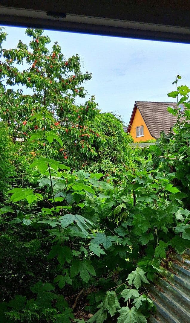 Predaj domu 100 m², pozemek 838 m², Berlin Mahlsdorf, Berlín Predaj domu 100 m², pozemek 838 m², Berlin Mahlsdorf, Berlín
