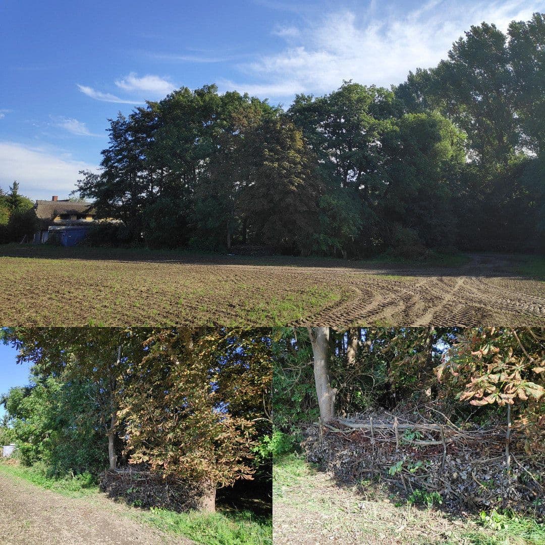 Predaj domu 150 m², pozemek 1.573 m², Zierow, Meklenbursko-Predpomoransko Predaj domu 150 m², pozemek 1.573 m², Zierow, Meklenbursko-Predpomoransko