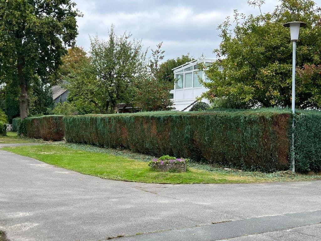 Prenájom domu 214 m², pozemek 740 m², Hagen im Bremischen, Dolné Sasko Prenájom domu 214 m², pozemek 740 m², Hagen im Bremischen, Dolné Sasko