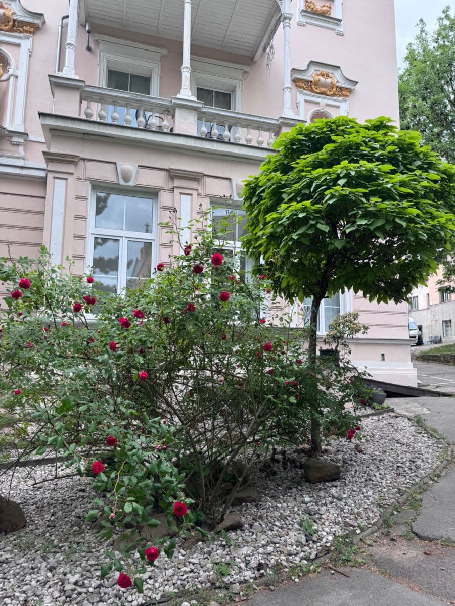 Prenájom bytu 2-izbový 33 m², Vrchlického, Teplice, Ústecký kraj Prenájom bytu 2-izbový 33 m², Vrchlického, Teplice, Ústecký kraj