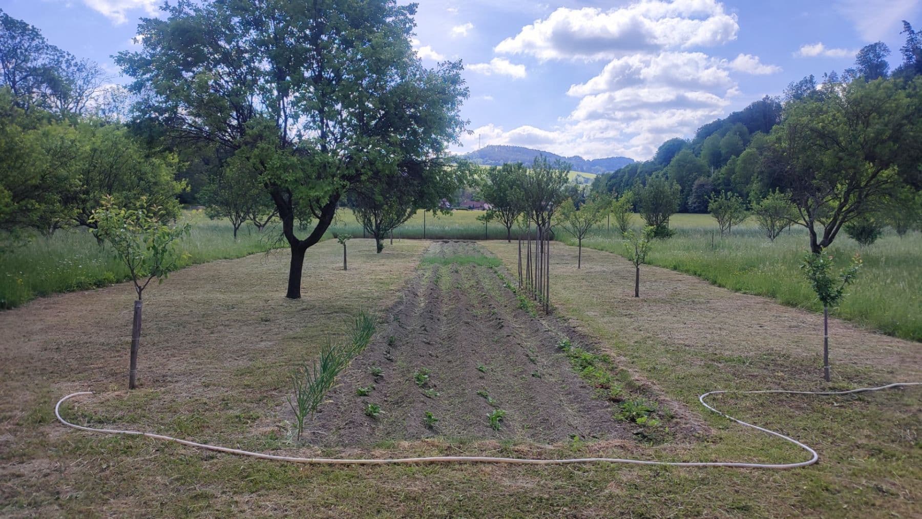Predaj domu 721 m², pozemek 4.813 m², Lesní, Březová nad Svitavou, Pardubický kraj Predaj domu 721 m², pozemek 4.813 m², Lesní, Březová nad Svitavou, Pardubický kraj