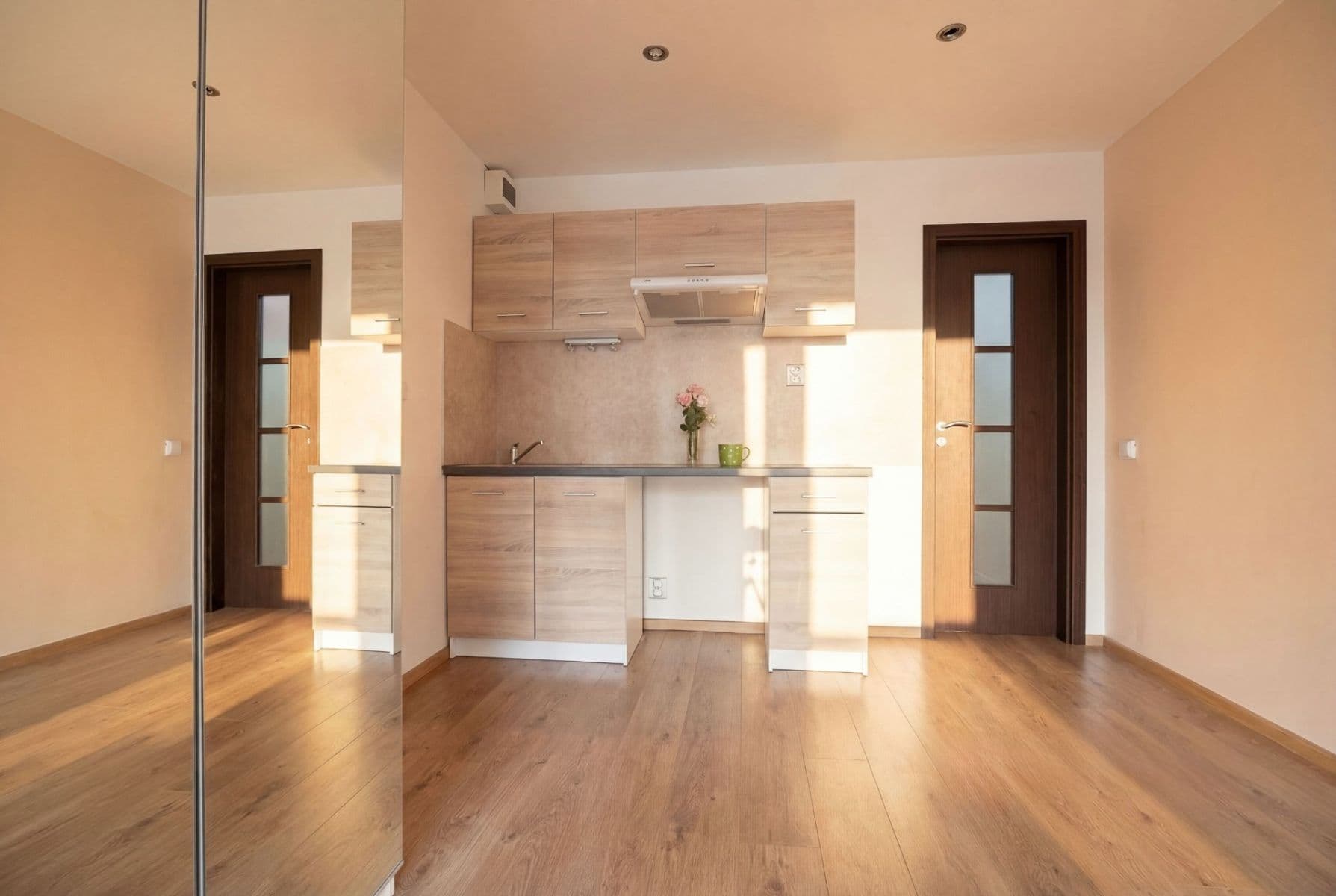 Prenájom bytu 1-izbový 26 m², Mendelova, Praha, Praha Prenájom bytu 1-izbový 26 m², Mendelova, Praha, Praha