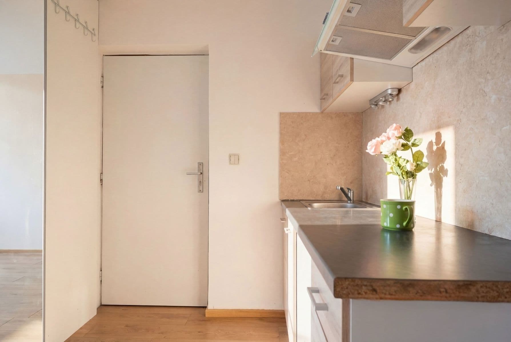 Prenájom bytu 1-izbový 26 m², Mendelova, Praha, Praha Prenájom bytu 1-izbový 26 m², Mendelova, Praha, Praha