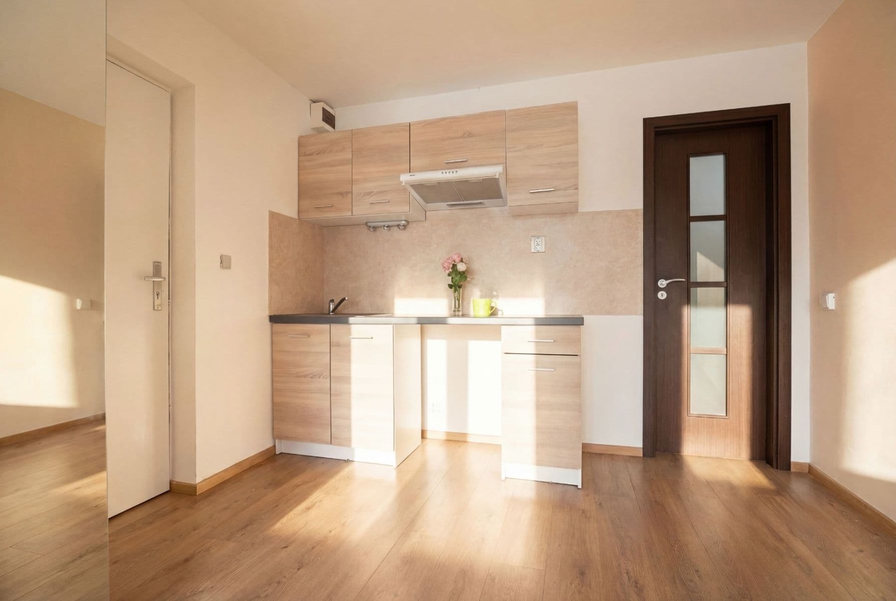 Prenájom bytu 1-izbový 26 m², Mendelova, Praha, Praha Prenájom bytu 1-izbový 26 m², Mendelova, Praha, Praha