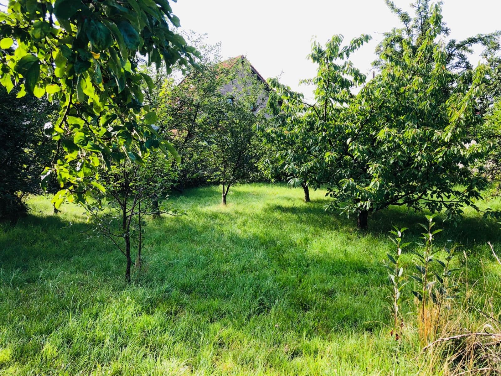 Predaj domu 173 m², pozemek 1.000 m², Telnice, Ústecký kraj Predaj domu 173 m², pozemek 1.000 m², Telnice, Ústecký kraj