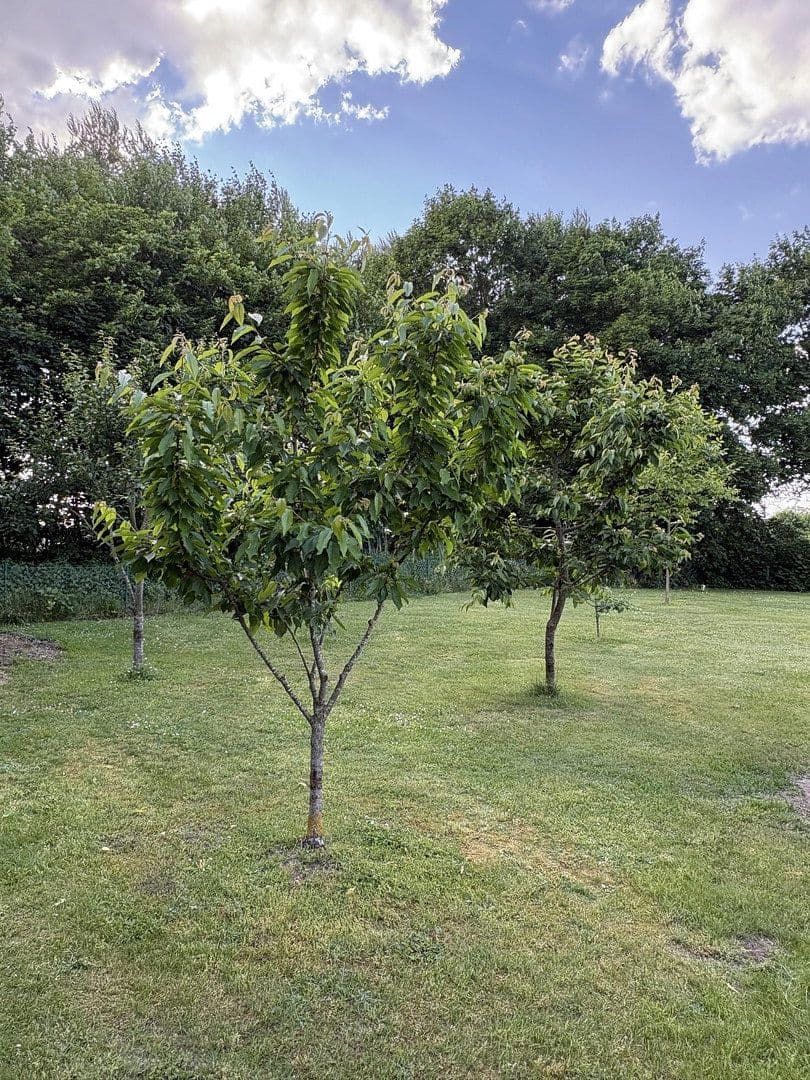 Predaj domu 160 m², pozemek 1.996 m², Ueckermünde, Meklenbursko-Predpomoransko Predaj domu 160 m², pozemek 1.996 m², Ueckermünde, Meklenbursko-Predpomoransko