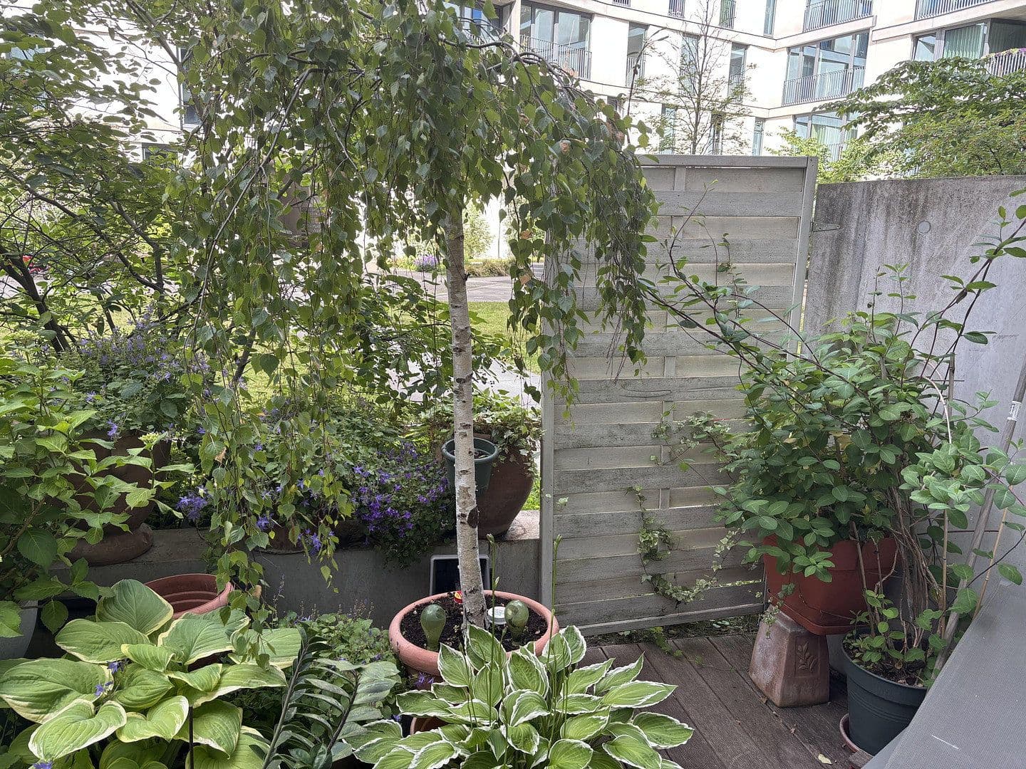 Prenájom bytu 2-izbový 96 m², Pettenkoferstr. 14, Berlin, Berlín Prenájom bytu 2-izbový 96 m², Pettenkoferstr. 14, Berlin, Berlín