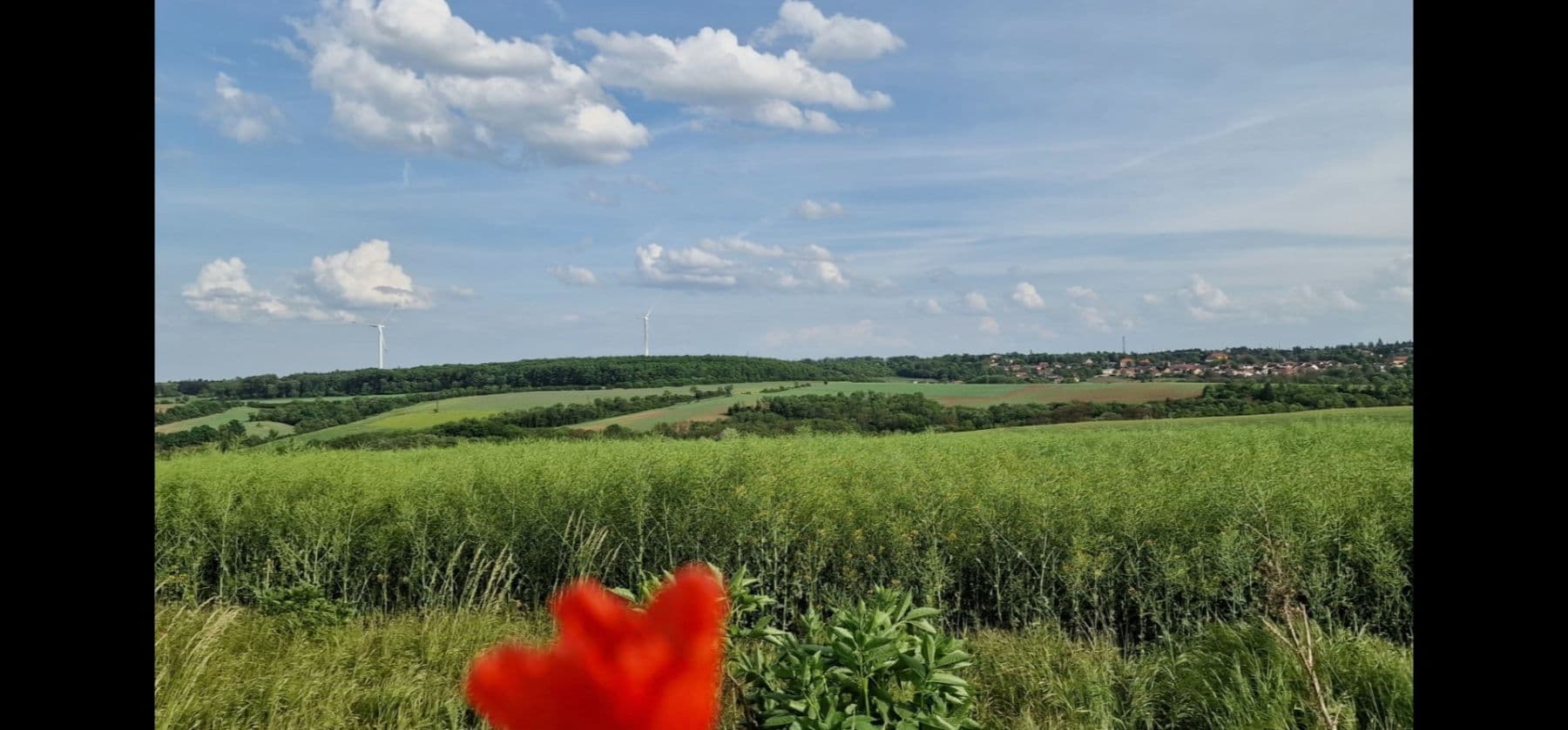 Predaj domu 50 m², pozemek 290 m², V Kolonii, Svinařov, Středočeský kraj Predaj domu 50 m², pozemek 290 m², V Kolonii, Svinařov, Středočeský kraj