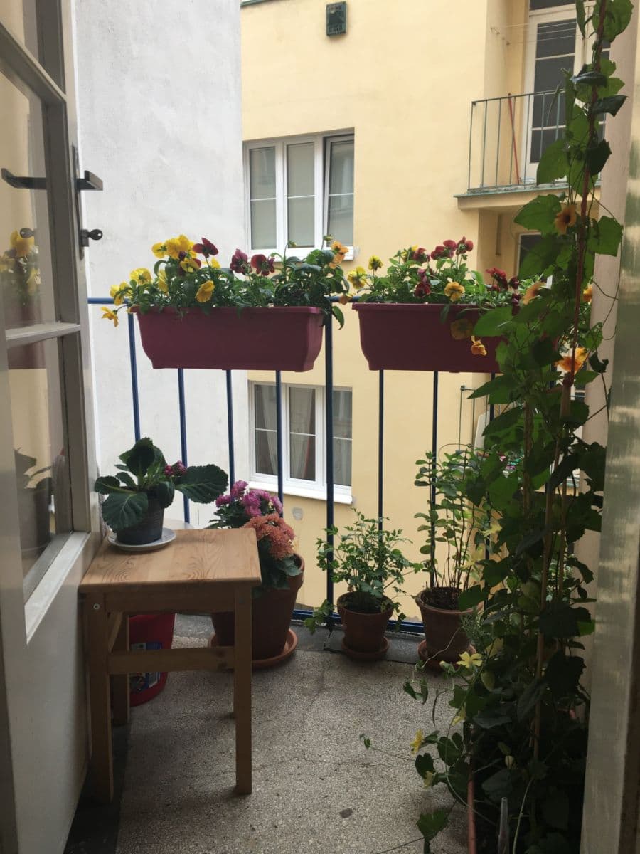 Prenájom bytu 1-izbový 42 m², Jugoslávských partyzánů, Praha, Praha Prenájom bytu 1-izbový 42 m², Jugoslávských partyzánů, Praha, Praha
