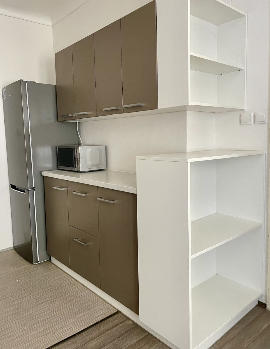 Prenájom bytu 1-izbový 42 m², Jugoslávských partyzánů, Praha, Praha Prenájom bytu 1-izbový 42 m², Jugoslávských partyzánů, Praha, Praha