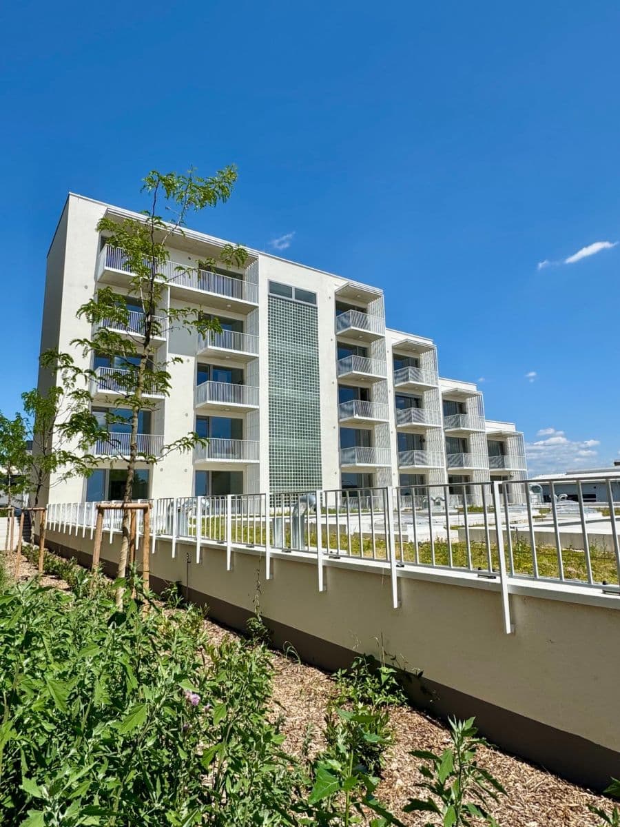 Prenájom bytu 1-izbový 32 m², Řepova, Brno, Jihomoravský kraj Prenájom bytu 1-izbový 32 m², Řepova, Brno, Jihomoravský kraj