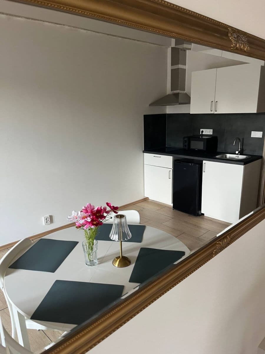 Prenájom bytu 1-izbový 25 m², Pražská, Praha, Praha Prenájom bytu 1-izbový 25 m², Pražská, Praha, Praha
