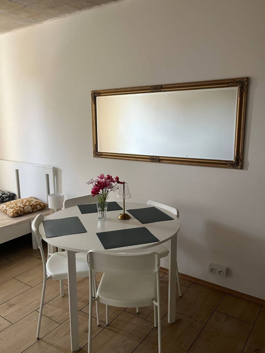 Prenájom bytu 1-izbový 25 m², Pražská, Praha, Praha Prenájom bytu 1-izbový 25 m², Pražská, Praha, Praha