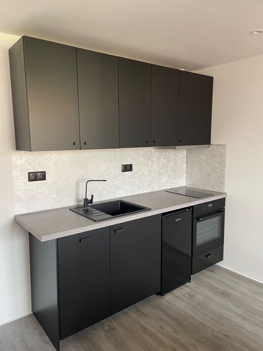 Prenájom bytu 1-izbový 42 m², Štefánikova, Brno, Jihomoravský kraj Prenájom bytu 1-izbový 42 m², Štefánikova, Brno, Jihomoravský kraj