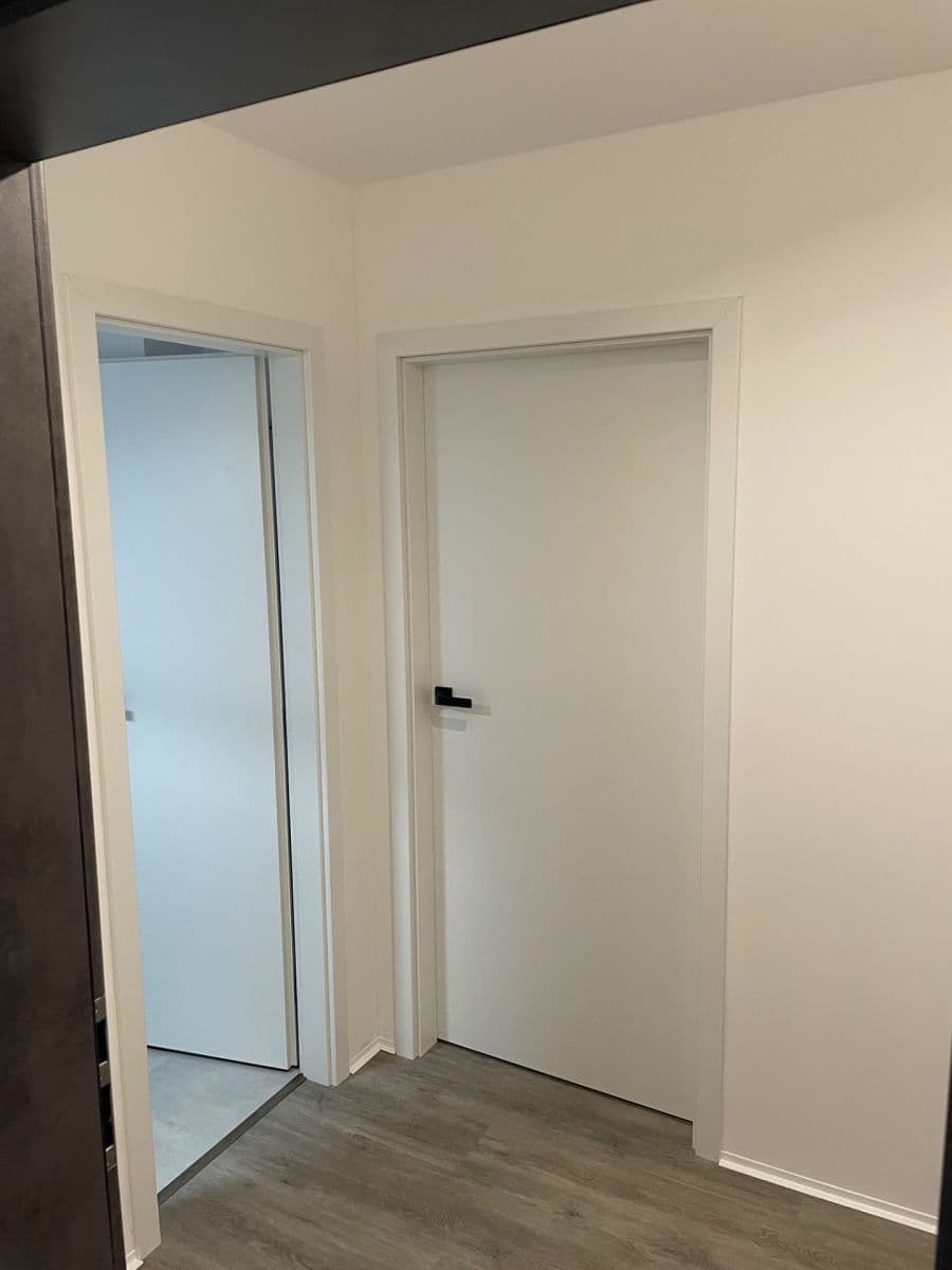 Prenájom bytu 1-izbový 42 m², Štefánikova, Brno, Jihomoravský kraj Prenájom bytu 1-izbový 42 m², Štefánikova, Brno, Jihomoravský kraj