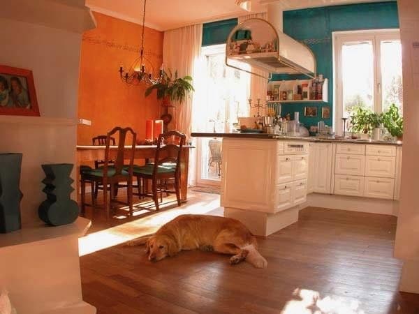 Predaj domu 357 m², pozemek 821 m², Brechen, Hesensko Predaj domu 357 m², pozemek 821 m², Brechen, Hesensko