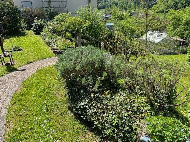 Predaj domu 177 m², pozemek 1.142 m², Rebetsmatt 30, Rheinfelden (Baden), Bádensko-Wurttembersko Predaj domu 177 m², pozemek 1.142 m², Rebetsmatt 30, Rheinfelden (Baden), Bádensko-Wurttembersko