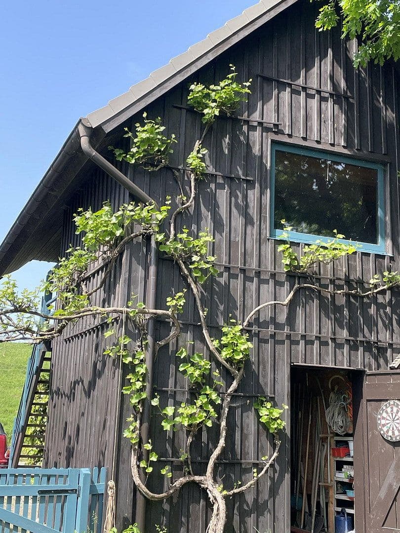 Predaj domu 188 m², pozemek 6.000 m², Bahrenfleth, Šlezvicko-Holštajnsko Predaj domu 188 m², pozemek 6.000 m², Bahrenfleth, Šlezvicko-Holštajnsko