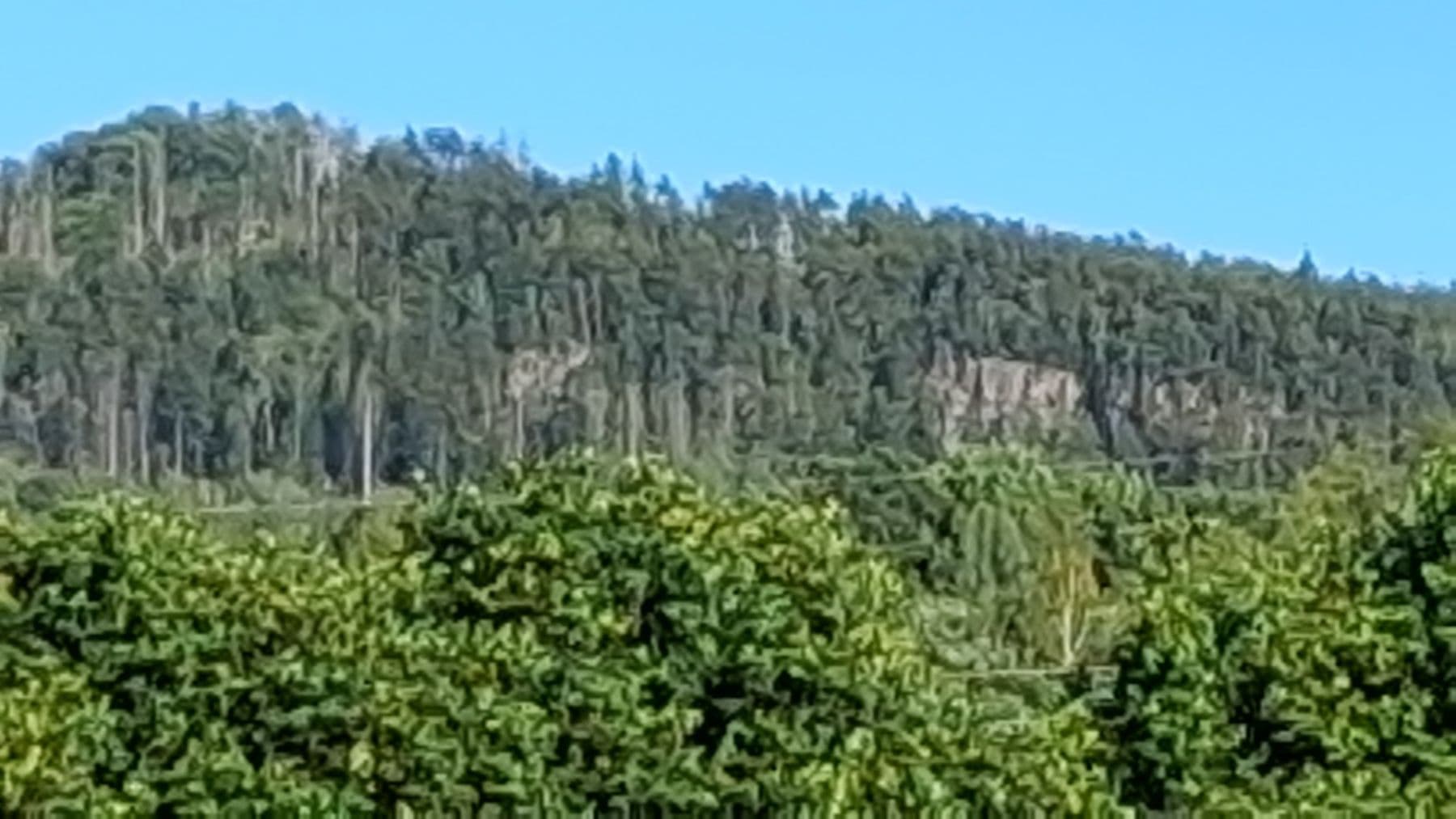 Prenájom rekreačného objektu 70 m², pozemek 300 m², V Plaňkách, Rokycany, Plzeňský kraj Prenájom rekreačného objektu 70 m², pozemek 300 m², V Plaňkách, Rokycany, Plzeňský kraj
