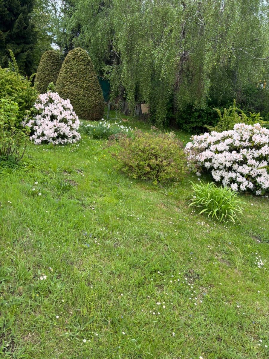 Predaj domu 150 m², pozemek 213 m², Opavská, Rýmařov, Moravskoslezský kraj Predaj domu 150 m², pozemek 213 m², Opavská, Rýmařov, Moravskoslezský kraj
