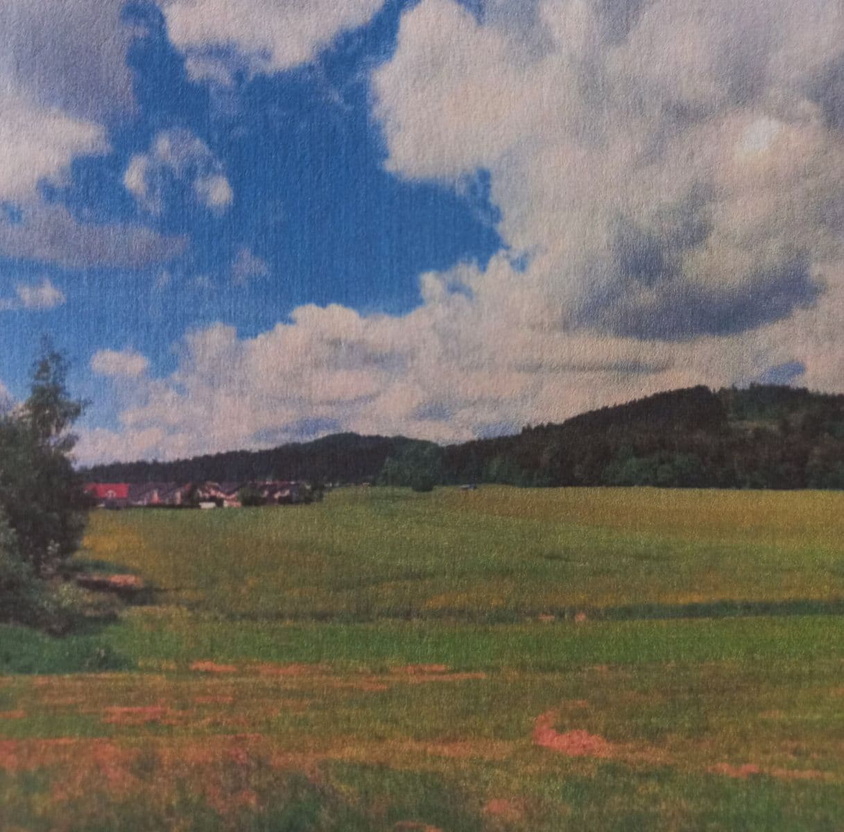 Predaj pozemku 3.000 m², Dolní Třebonín, Jihočeský kraj Predaj pozemku 3.000 m², Dolní Třebonín, Jihočeský kraj