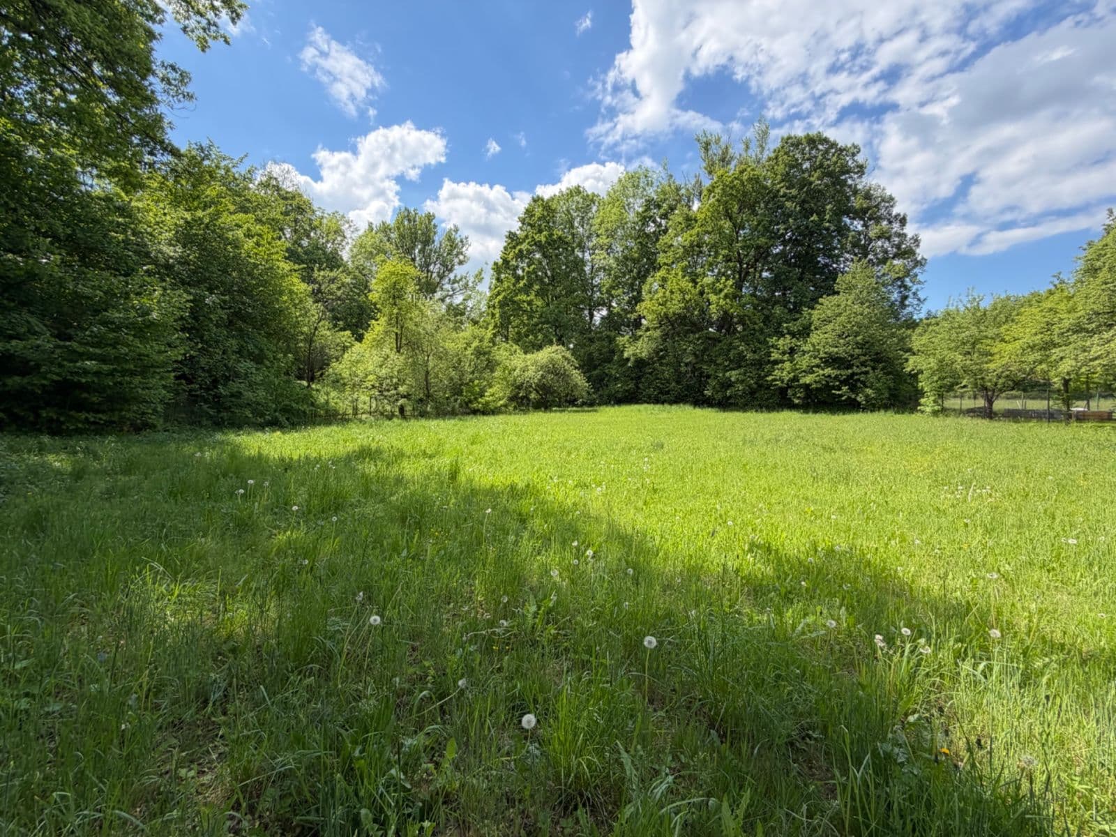 Predaj domu 106 m², pozemek 3.623 m², Petřvald, Moravskoslezský kraj Predaj domu 106 m², pozemek 3.623 m², Petřvald, Moravskoslezský kraj