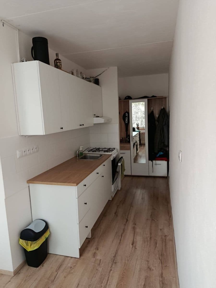 Prenájom bytu 1-izbový 42 m², Laštůvkova, Brno, Jihomoravský kraj Prenájom bytu 1-izbový 42 m², Laštůvkova, Brno, Jihomoravský kraj