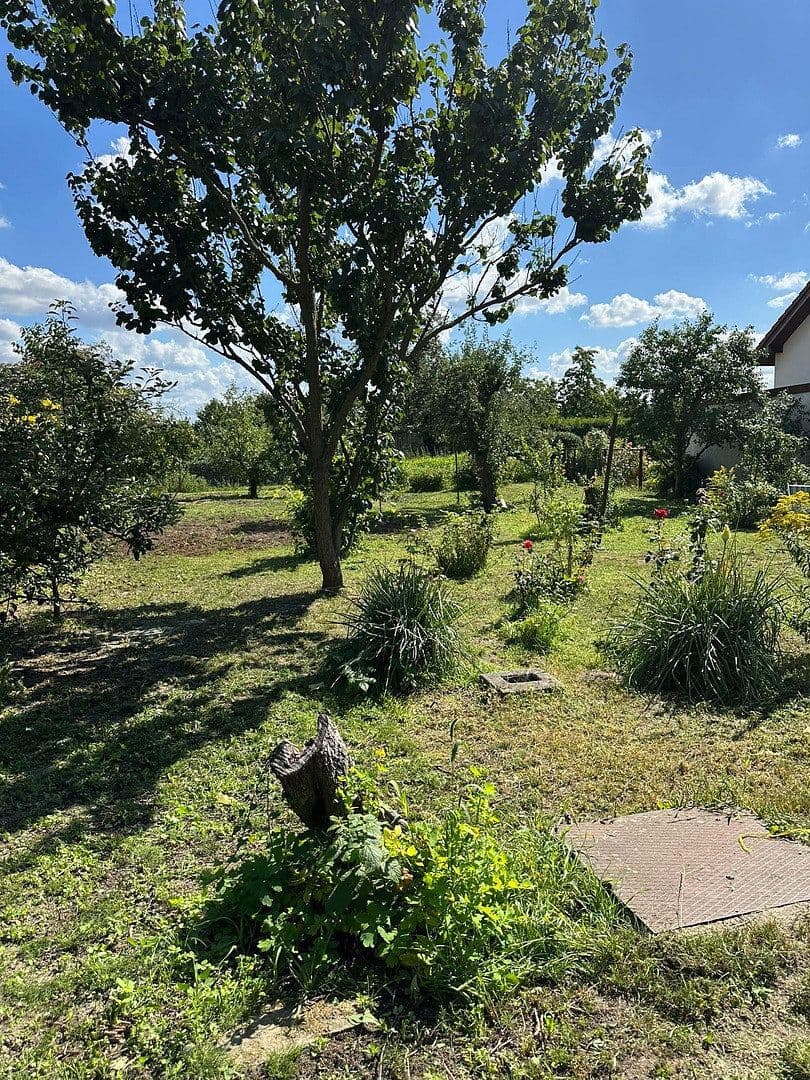 Predaj domu 110 m², pozemek 1.019 m², Wacholderheide 50, Berlin Mahlsdorf Nord, Berlín Predaj domu 110 m², pozemek 1.019 m², Wacholderheide 50, Berlin Mahlsdorf Nord, Berlín