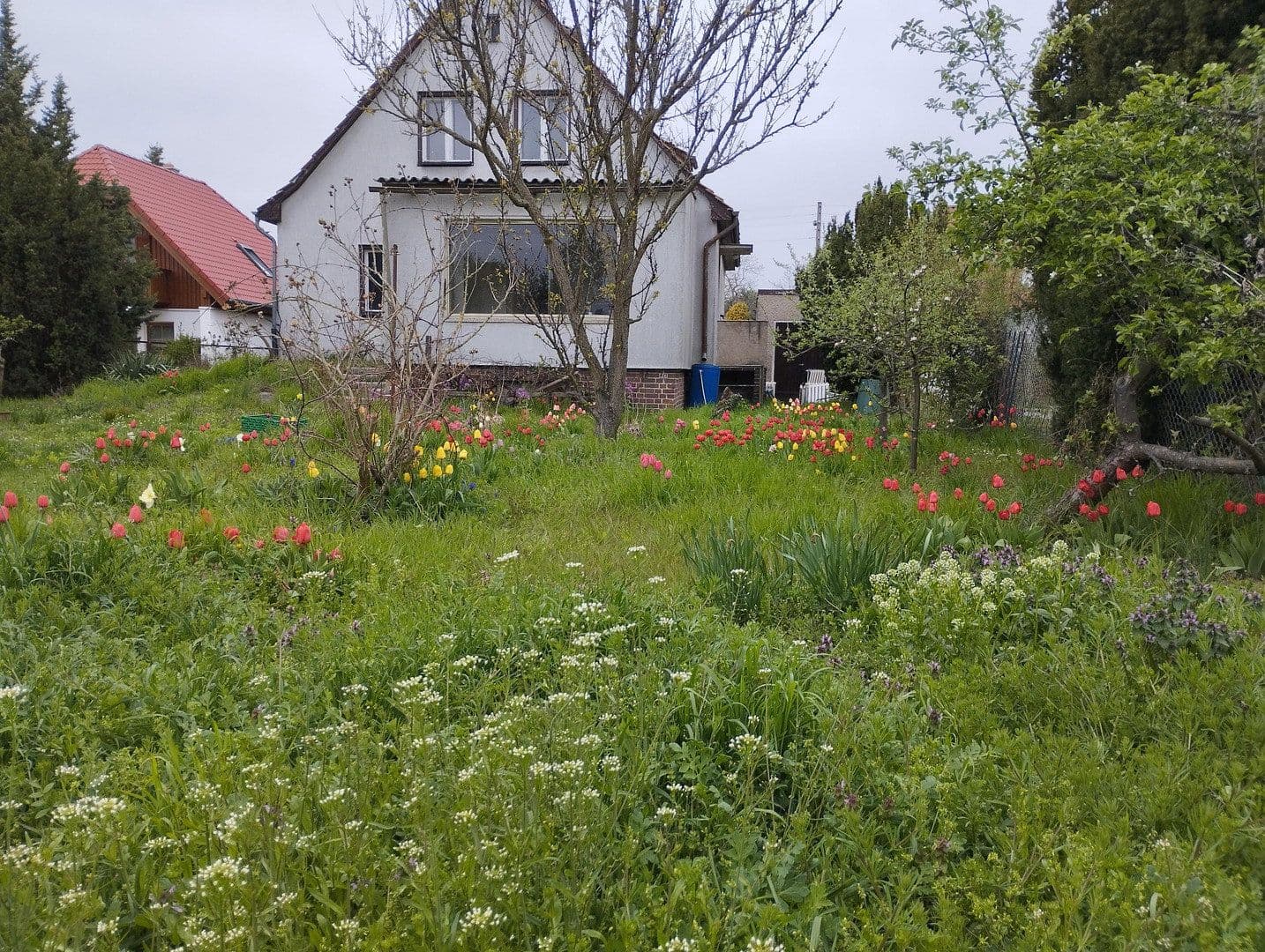 Predaj domu 110 m², pozemek 1.019 m², Wacholderheide 50, Berlin Mahlsdorf Nord, Berlín Predaj domu 110 m², pozemek 1.019 m², Wacholderheide 50, Berlin Mahlsdorf Nord, Berlín