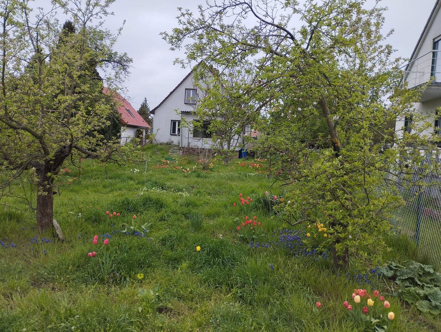 Predaj domu 110 m², pozemek 1.019 m², Wacholderheide 50, Berlin Mahlsdorf Nord, Berlín Predaj domu 110 m², pozemek 1.019 m², Wacholderheide 50, Berlin Mahlsdorf Nord, Berlín