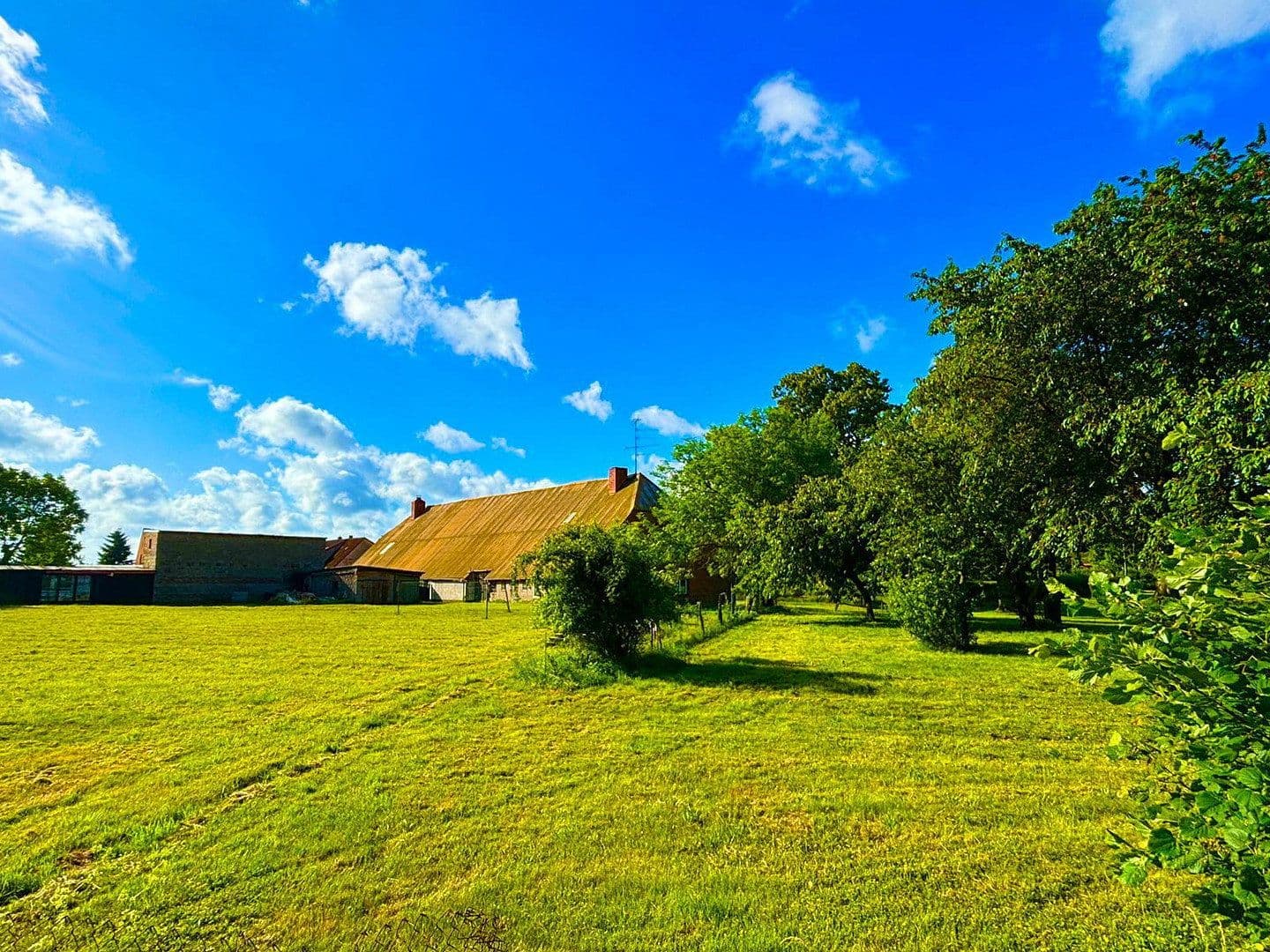 Predaj domu 130 m², pozemek 6.270 m², Göhren-Lebbin, Meklenbursko-Predpomoransko Predaj domu 130 m², pozemek 6.270 m², Göhren-Lebbin, Meklenbursko-Predpomoransko