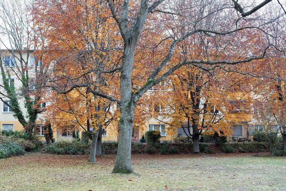 Predaj bytu 3-izbový 68 m², Stockumer Str. 1a, Berlin Reinickendorf-Tegel, Berlín Predaj bytu 3-izbový 68 m², Stockumer Str. 1a, Berlin Reinickendorf-Tegel, Berlín
