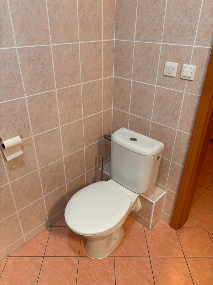 Prenájom bytu 1-izbový 30 m², Boloňská, Praha, Praha Prenájom bytu 1-izbový 30 m², Boloňská, Praha, Praha