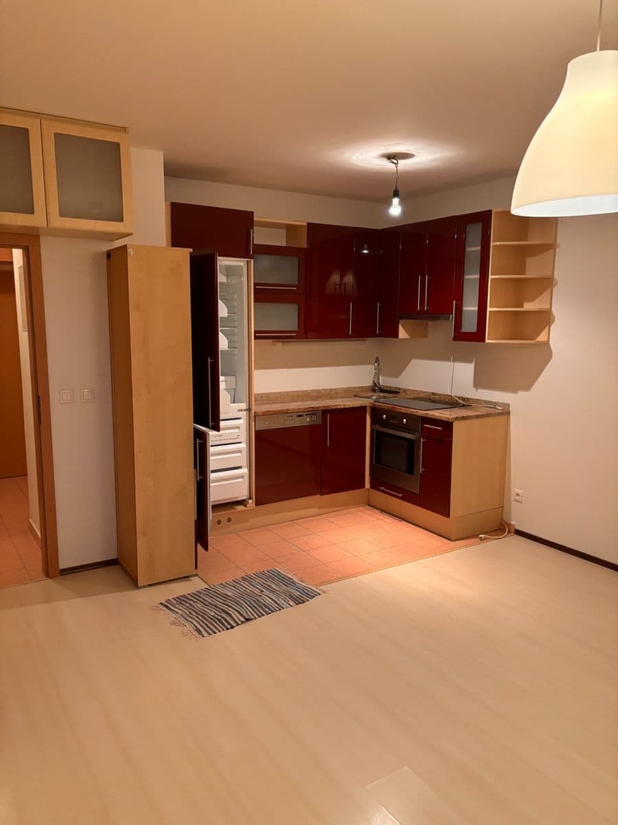 Prenájom bytu 1-izbový 30 m², Boloňská, Praha, Praha Prenájom bytu 1-izbový 30 m², Boloňská, Praha, Praha