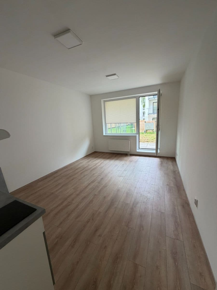 Prenájom bytu 1-izbový 42 m², Spolková, Brno, Jihomoravský kraj Prenájom bytu 1-izbový 42 m², Spolková, Brno, Jihomoravský kraj