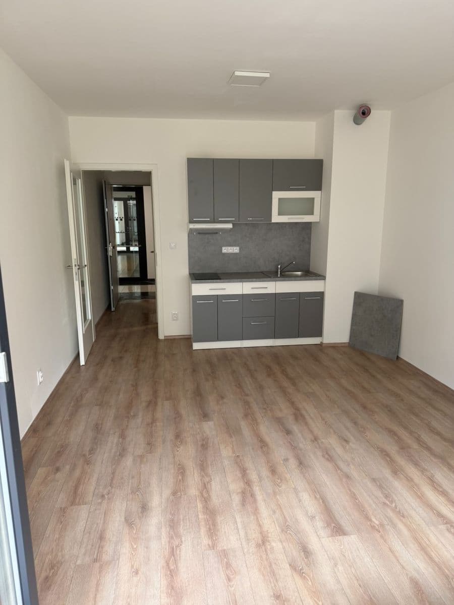 Prenájom bytu 1-izbový 42 m², Spolková, Brno, Jihomoravský kraj Prenájom bytu 1-izbový 42 m², Spolková, Brno, Jihomoravský kraj