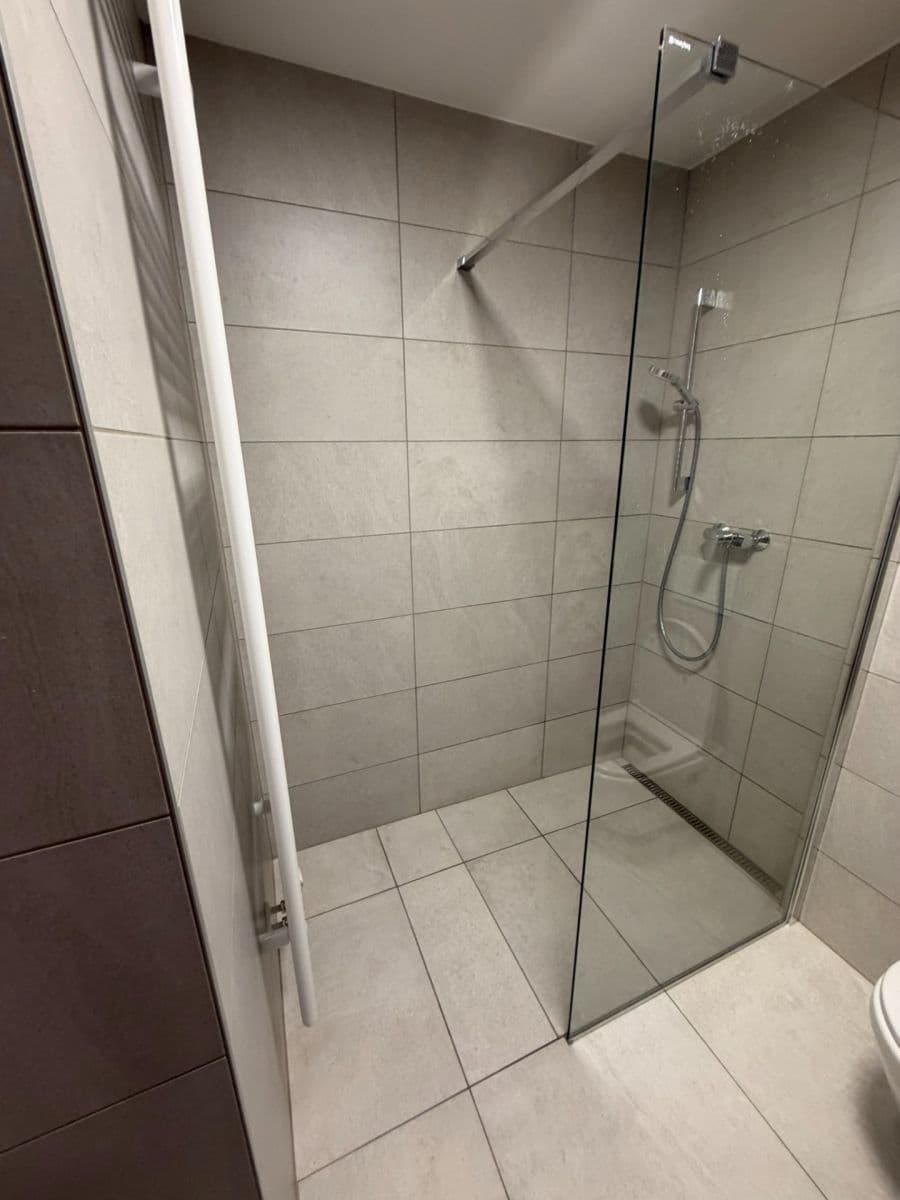 Prenájom bytu 1-izbový 42 m², Spolková, Brno, Jihomoravský kraj Prenájom bytu 1-izbový 42 m², Spolková, Brno, Jihomoravský kraj