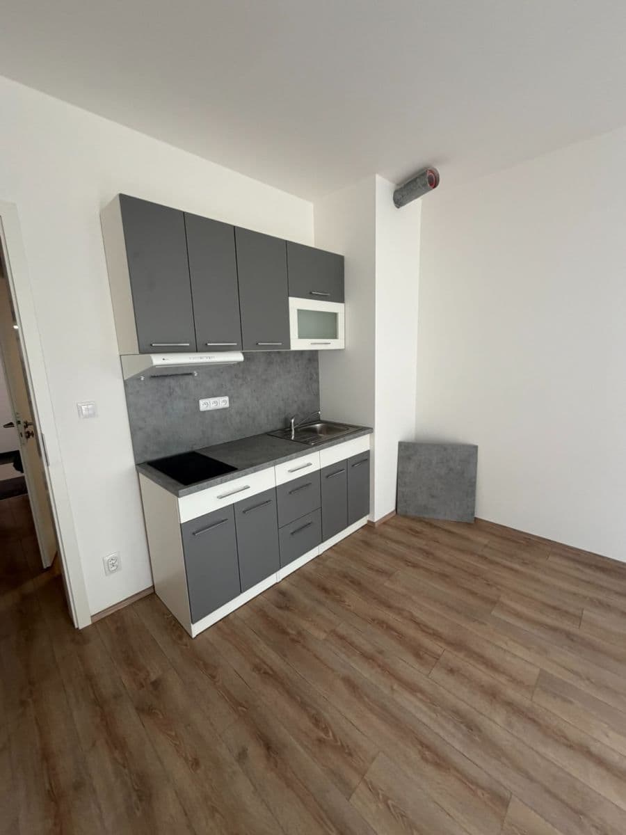 Prenájom bytu 1-izbový 42 m², Spolková, Brno, Jihomoravský kraj Prenájom bytu 1-izbový 42 m², Spolková, Brno, Jihomoravský kraj