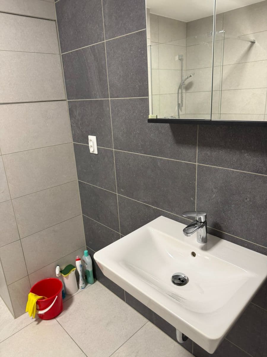 Prenájom bytu 1-izbový 42 m², Spolková, Brno, Jihomoravský kraj Prenájom bytu 1-izbový 42 m², Spolková, Brno, Jihomoravský kraj