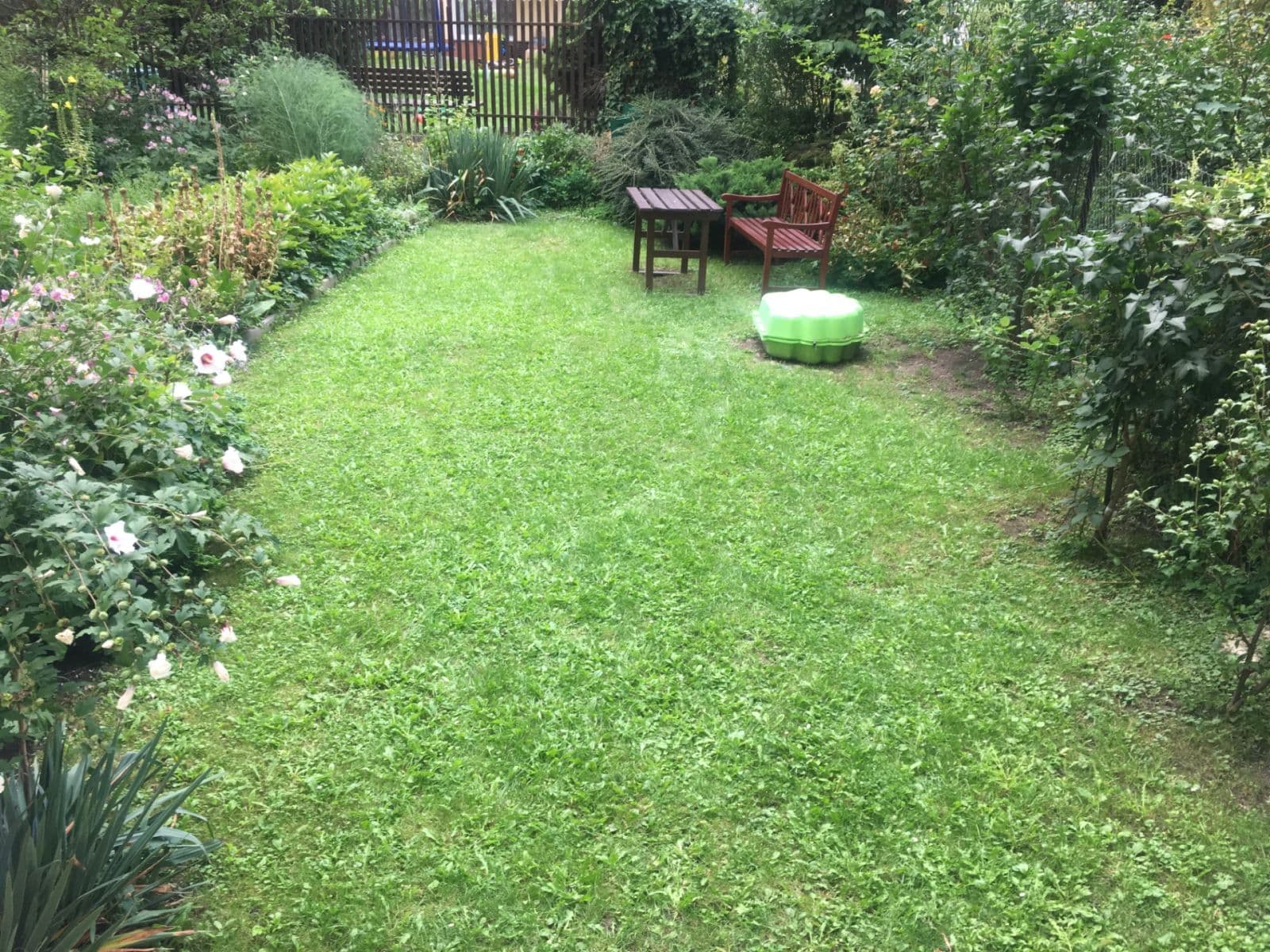 Prenájom bytu 2-izbový 63 m², Merhautova, Brno, Jihomoravský kraj Prenájom bytu 2-izbový 63 m², Merhautova, Brno, Jihomoravský kraj