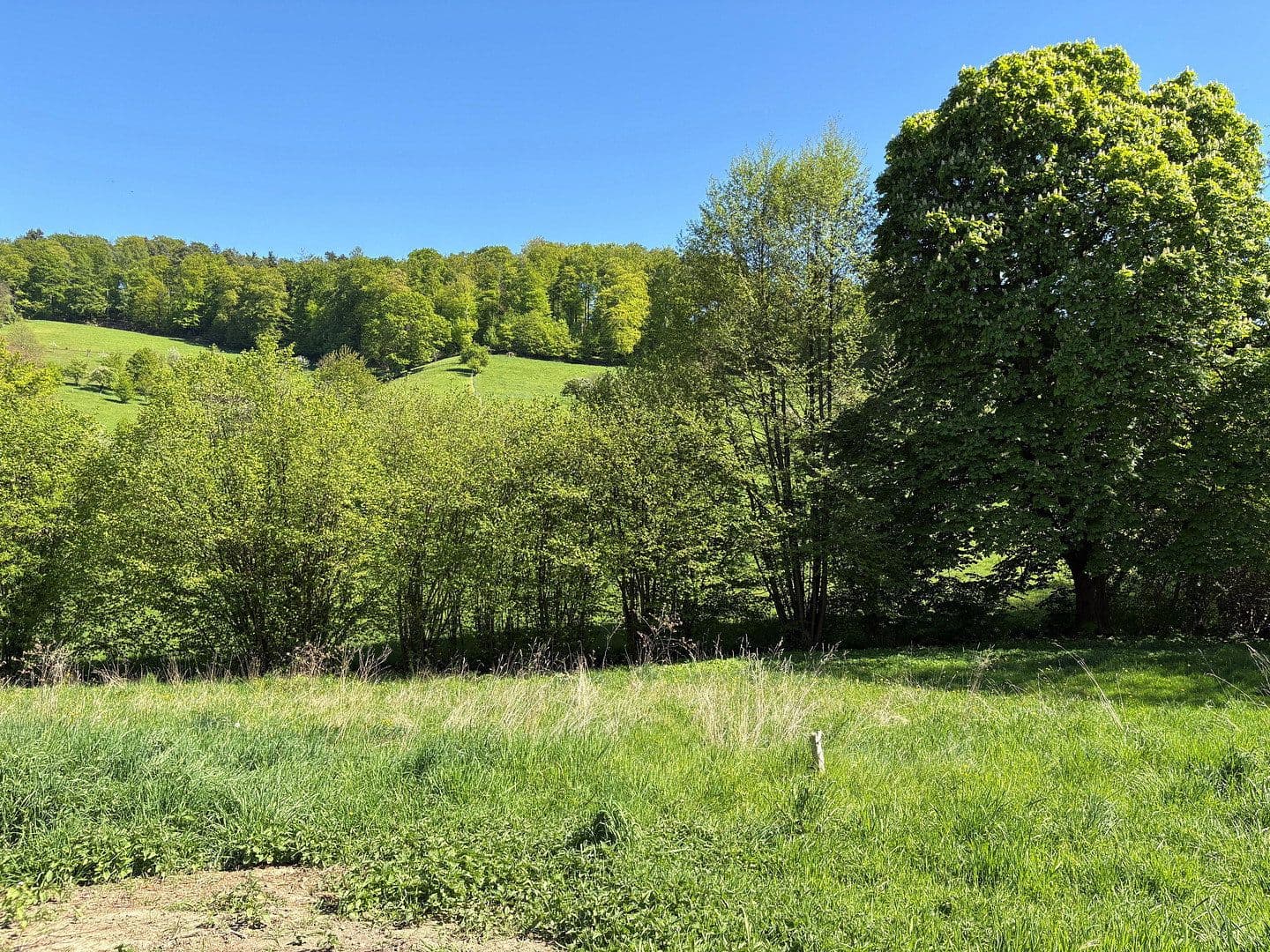 Predaj pozemku 550 m², Felsbergstraße 28A, Seeheim-Jugenheim, Hesensko Predaj pozemku 550 m², Felsbergstraße 28A, Seeheim-Jugenheim, Hesensko