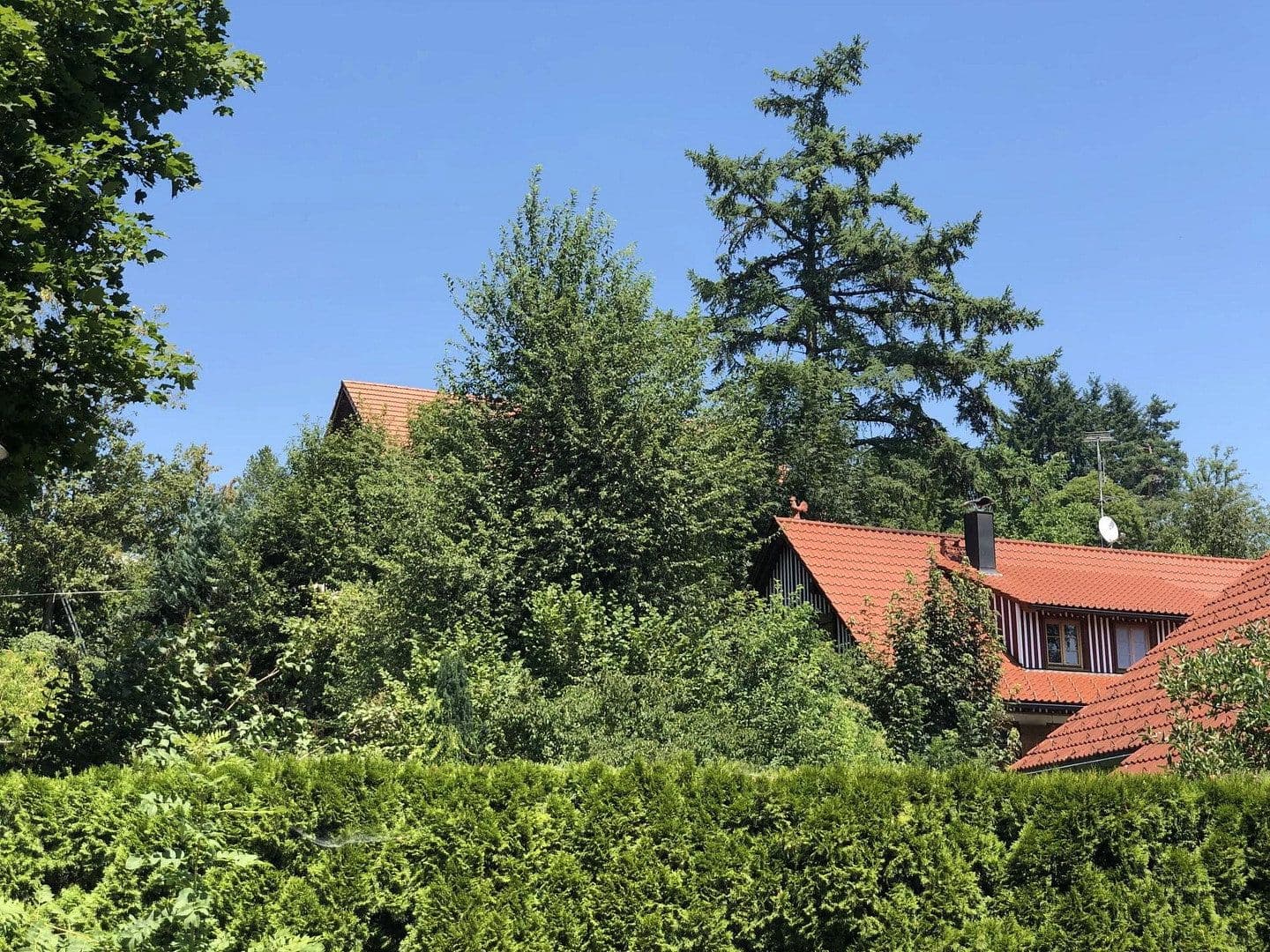 Prenájom bytu 2-izbový 50 m², Neukirch, Bádensko-Wurttembersko Prenájom bytu 2-izbový 50 m², Neukirch, Bádensko-Wurttembersko
