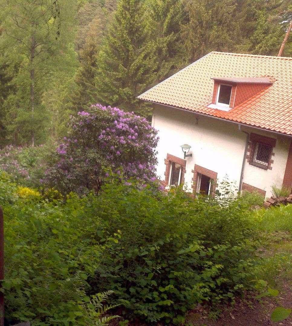 Predaj domu 180 m², pozemek 6.000 m², Lemberg, Porýnie-Falcko Predaj domu 180 m², pozemek 6.000 m², Lemberg, Porýnie-Falcko