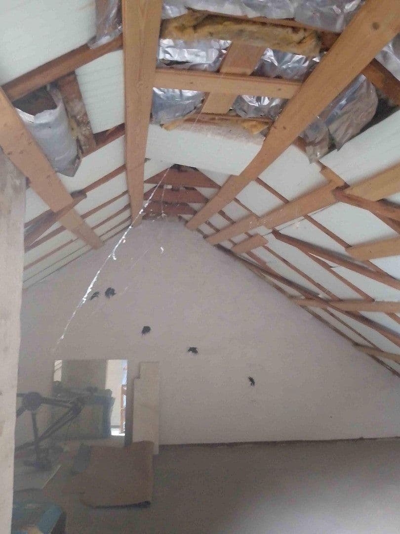 Predaj domu 84 m², pozemek 214 m², Albert-Schweizer-Straße 25, Gifhorn, Dolné Sasko Predaj domu 84 m², pozemek 214 m², Albert-Schweizer-Straße 25, Gifhorn, Dolné Sasko