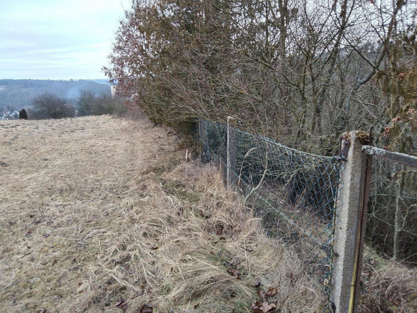 Predaj domu 267 m², pozemek 9.500 m², Drosendorf Stadt, Dolné Rakúsko Predaj domu 267 m², pozemek 9.500 m², Drosendorf Stadt, Dolné Rakúsko